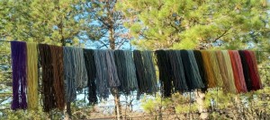 This array of dyes was produced at a workshop taught by Alissa Allen in December 2013, held near my home.  The mushrooms and lichens used were found throughout California and the Pacific Northwest.